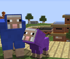Sheep CTW